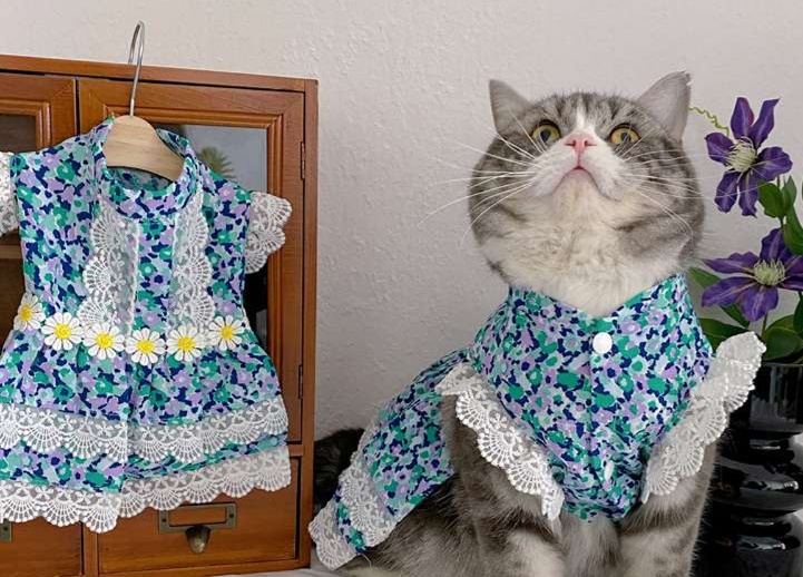 Cat Clothing Cosplay | Maid-Style Frilled Dress for Cats