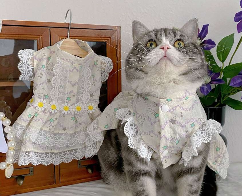 Cat Clothing Cosplay | Maid-Style Frilled Dress for Cats