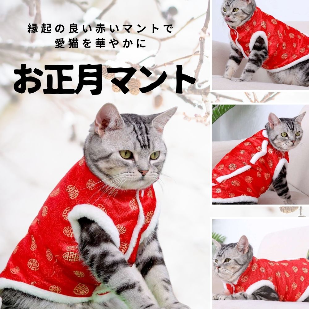 猫服 防寒服 | 福々招き猫のお正月マント