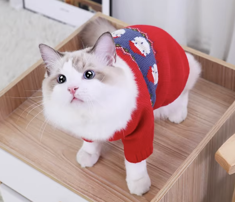 Cat Clothing Clothing | Girly Maid-Style Frilled Dress