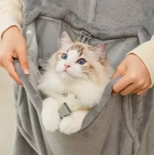 洋服