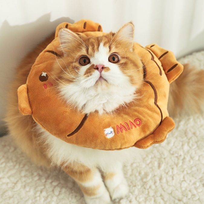 猫服 もふもふ天ぷらエリザベスカラー