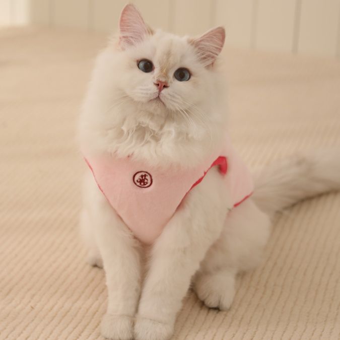猫服 ふわもこ猫ちゃん防寒ベスト