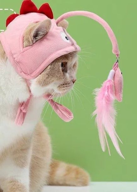 猫服 釣り好き猫ちゃん変身帽子