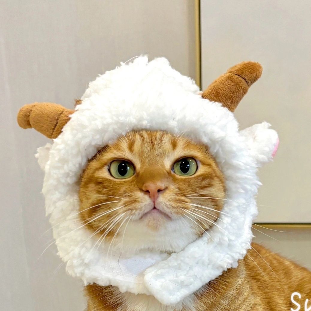 猫服 もこもこひつじさん帽子