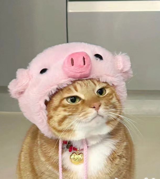 猫服 もこもこひつじさん帽子