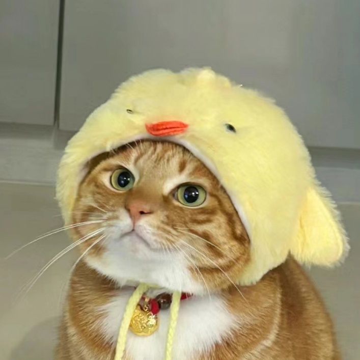 猫服 もこもこひつじさん帽子
