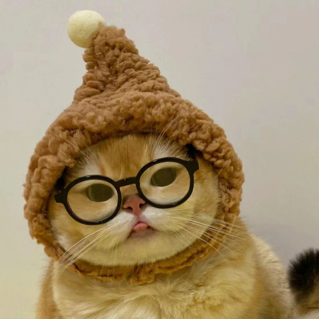 猫服 もこもことんがり猫帽子