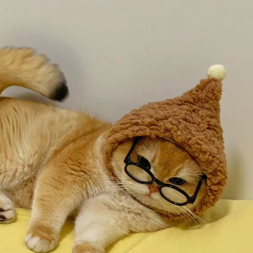 猫服 もこもことんがり猫帽子