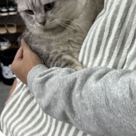 猫服 やさしい包み込み抱っこ服