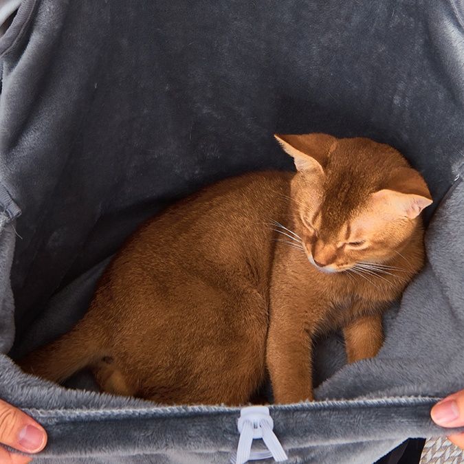 猫服 もふもふ包み込み抱っこポケット