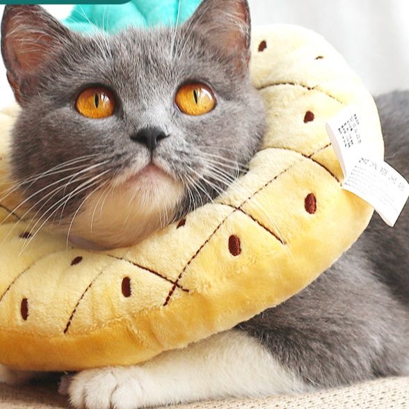 猫服 かわいい果物首まもり