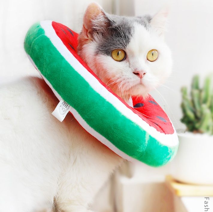 猫服 かわいい果物首まもり