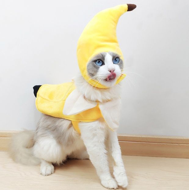 猫服 まるごとフルーツ変身帽子