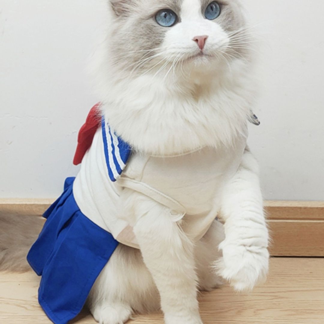 猫服 ふんわり制服リボン セーラー服