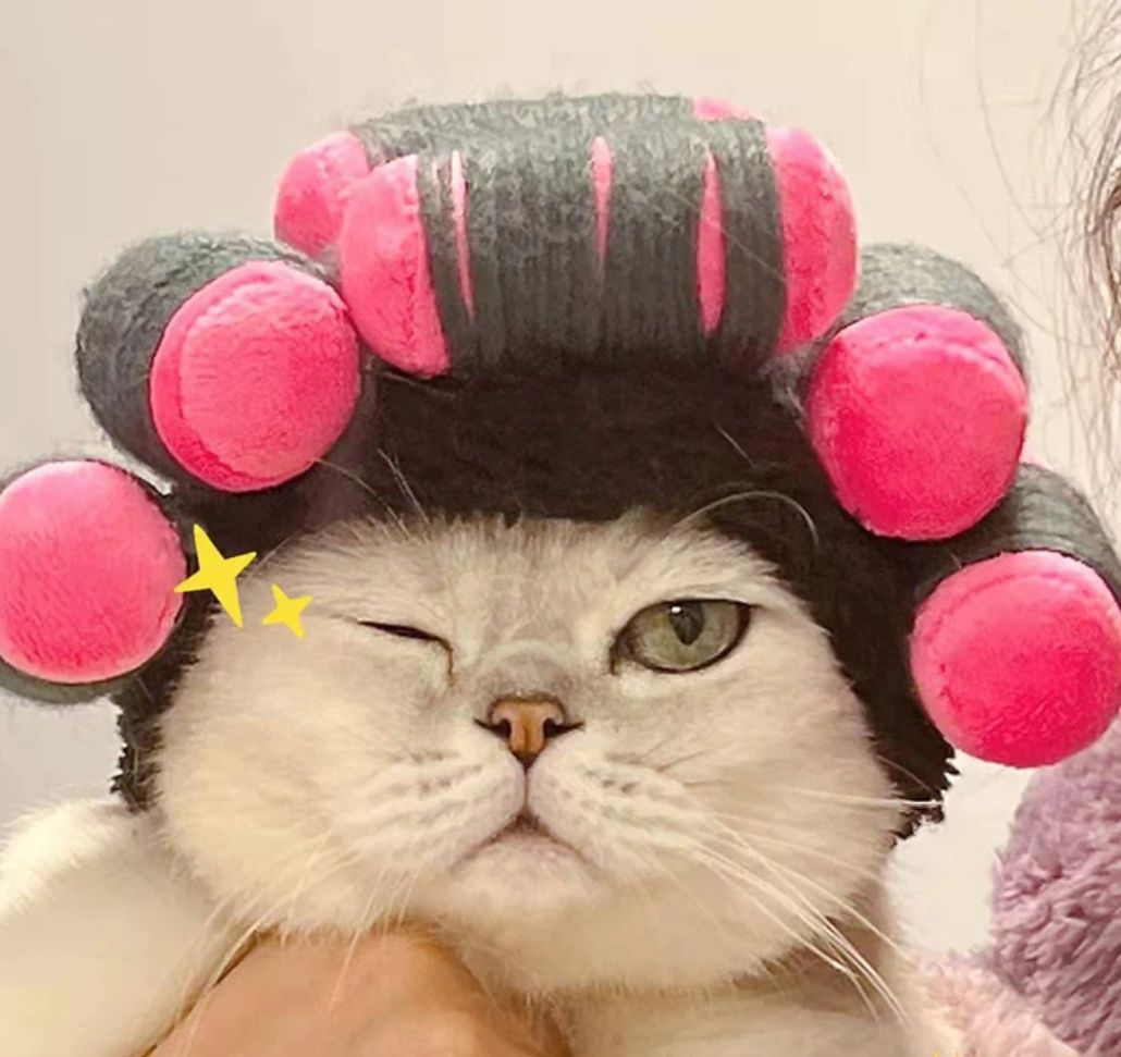 猫服 もふもふカーラー帽子