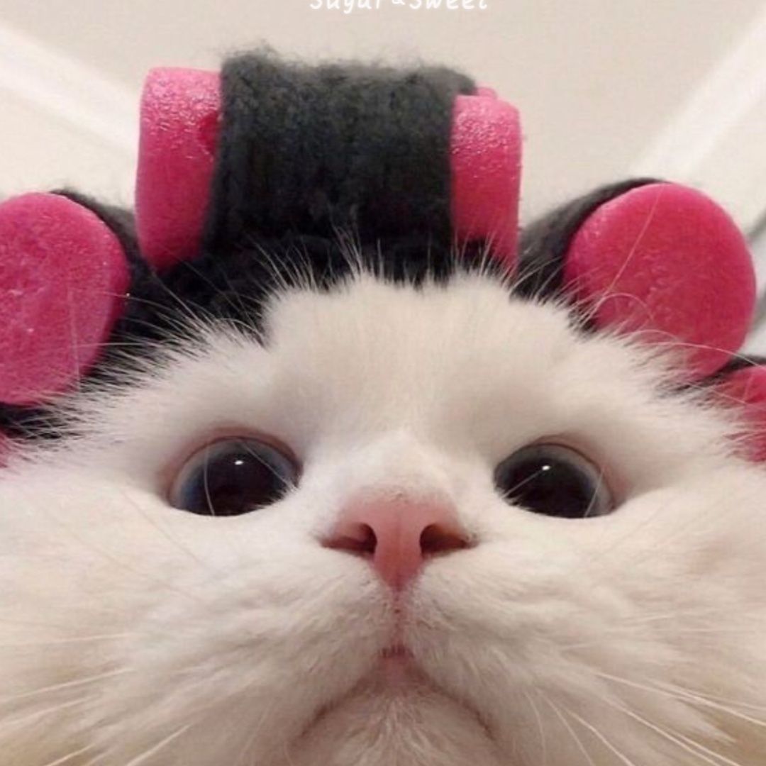 猫服 もふもふカーラー帽子