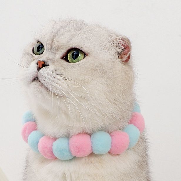 猫服 もこもこポンポン首輪