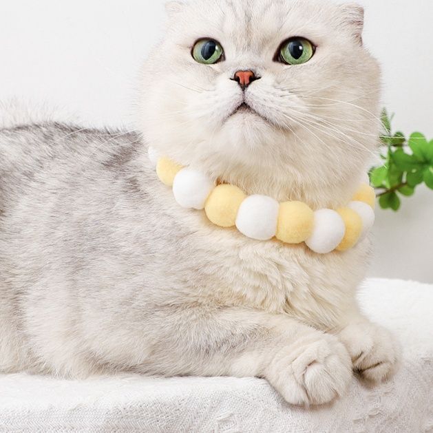 猫服 もこもこポンポン首輪