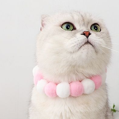 猫服 もこもこポンポン首輪