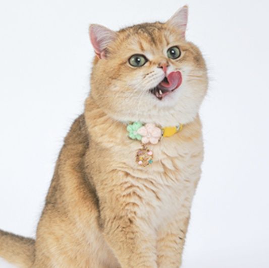 猫服 お花のチャーム付き首輪