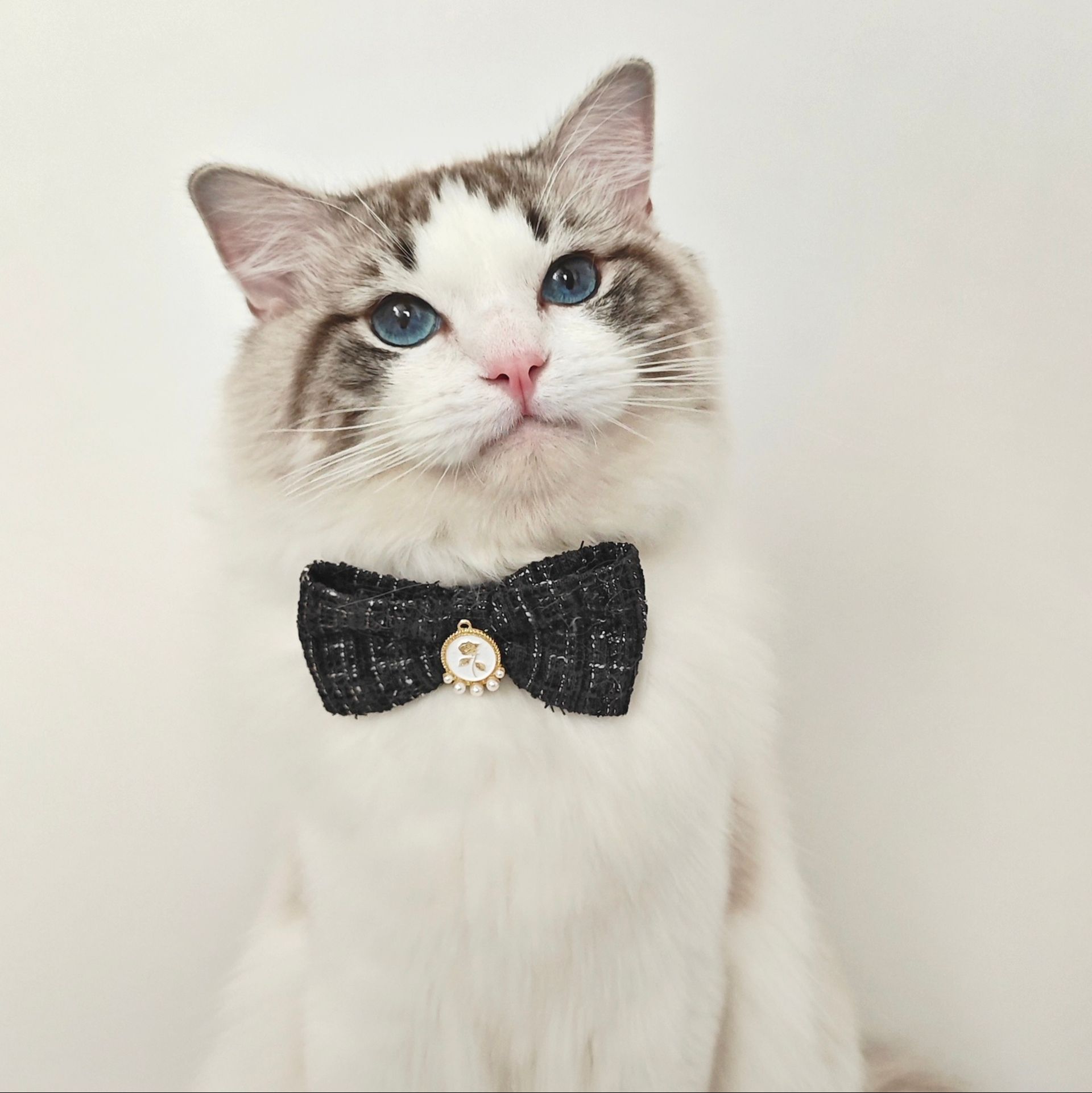 猫服 ツイード蝶ネクタイ首輪