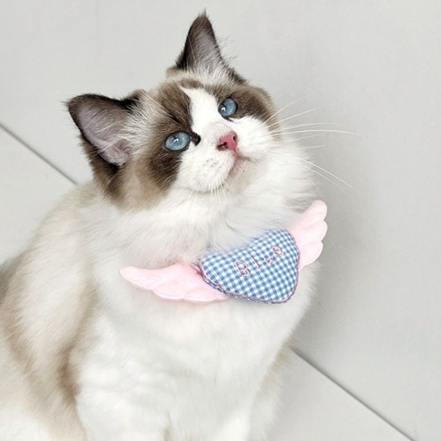 猫服 天使の翼ハート首輪