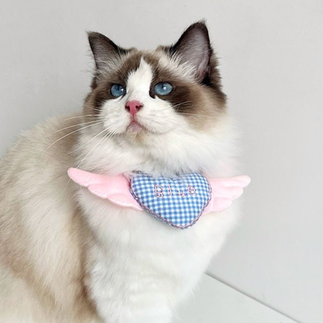 猫服 天使の翼ハート首輪