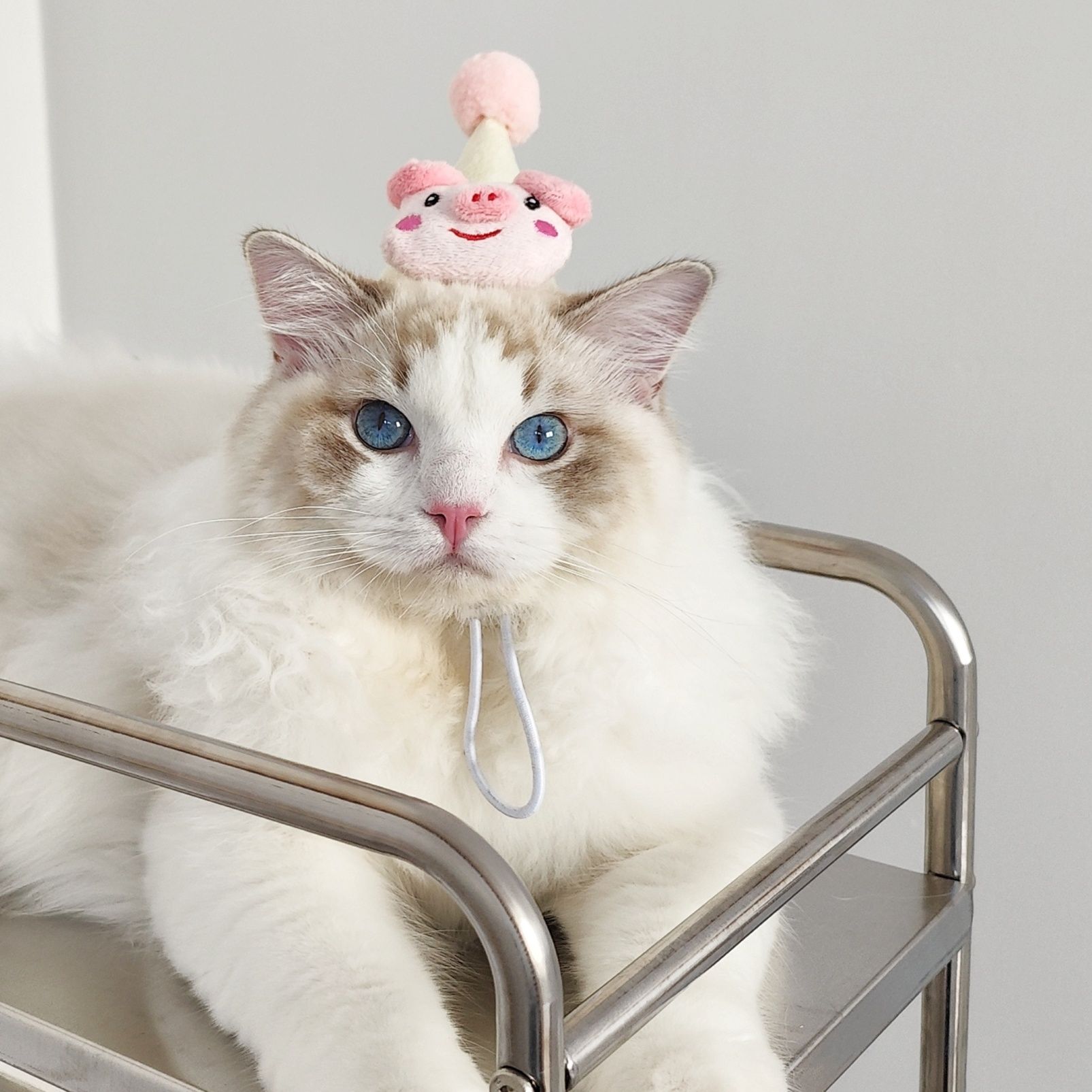 猫服 かわいい動物なりきり帽子