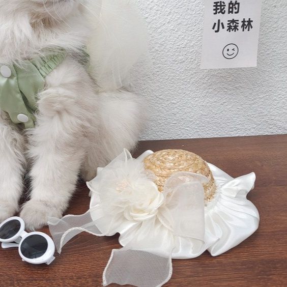 猫服 優雅な麦わら日よけ帽子