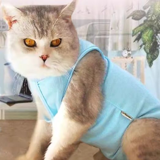 猫服 やさしい着心地の猫用術後服