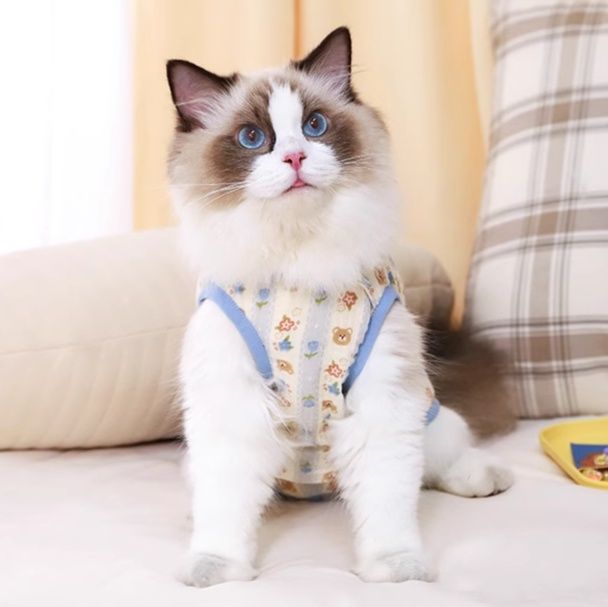 猫服 やさしい肌触り 安心術後ウェア