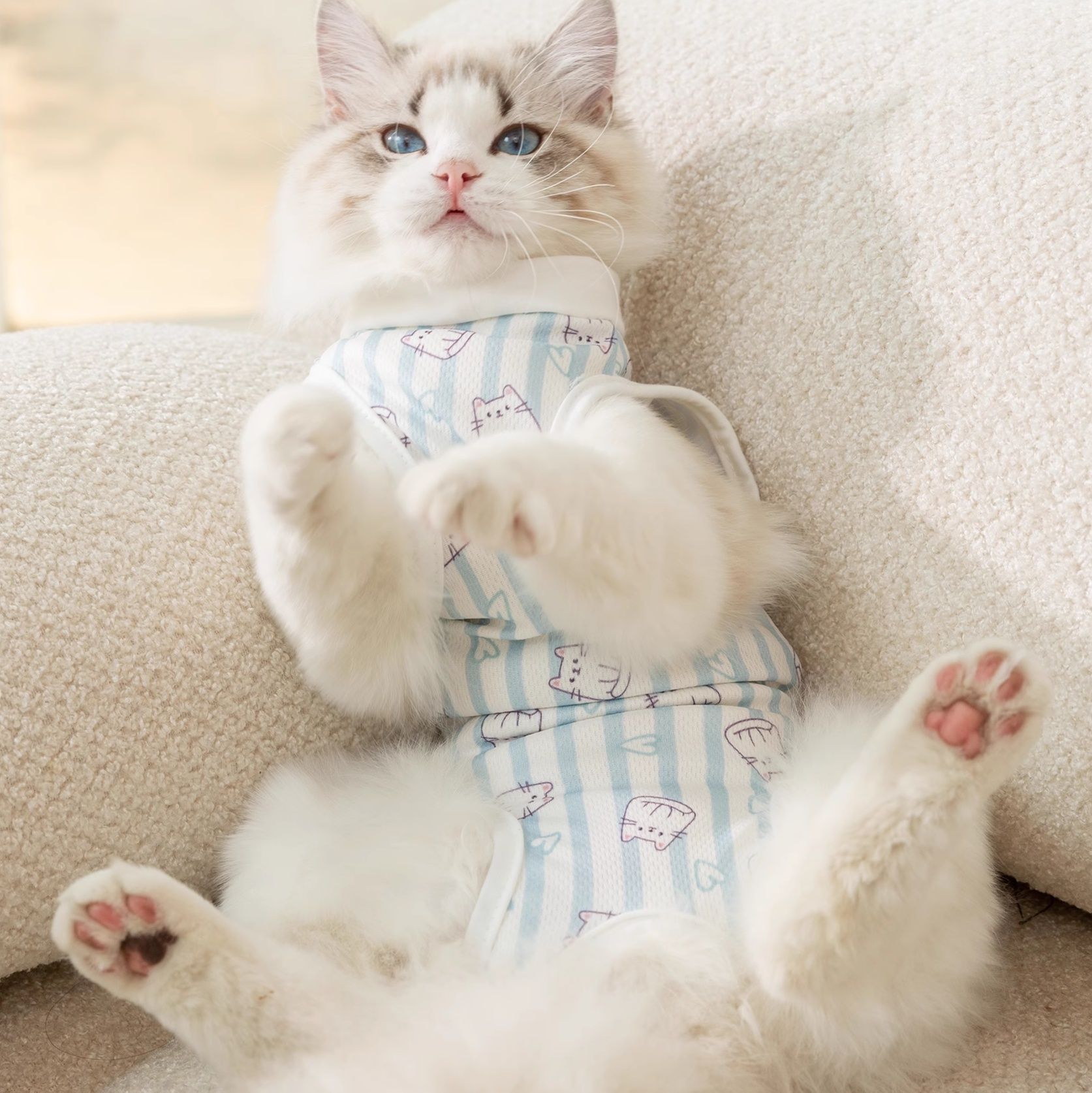 猫服 やすらぎ猫ちゃん術後服