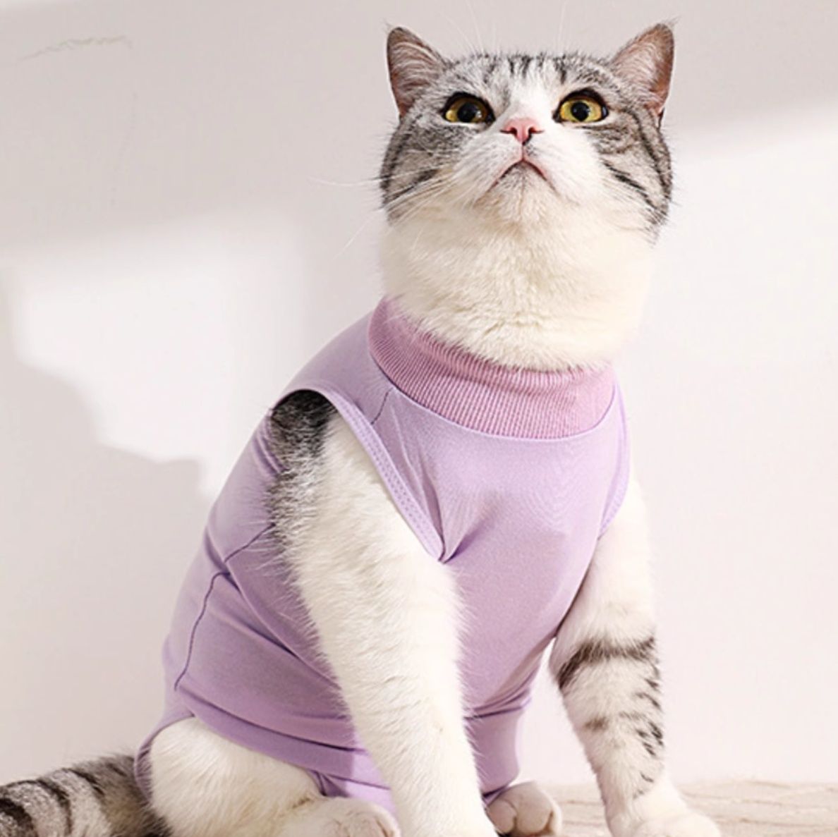 猫服 やさしい抱擁 猫用術後ウェア