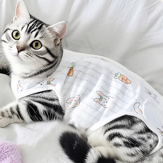 猫服 うさぎとにんじん 優しい術後ウェア