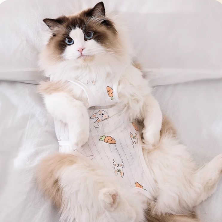 猫服 うさぎとにんじん 優しい術後ウェア