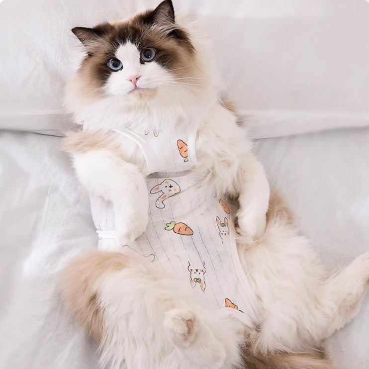 猫服 うさぎとにんじんの優しい術後服
