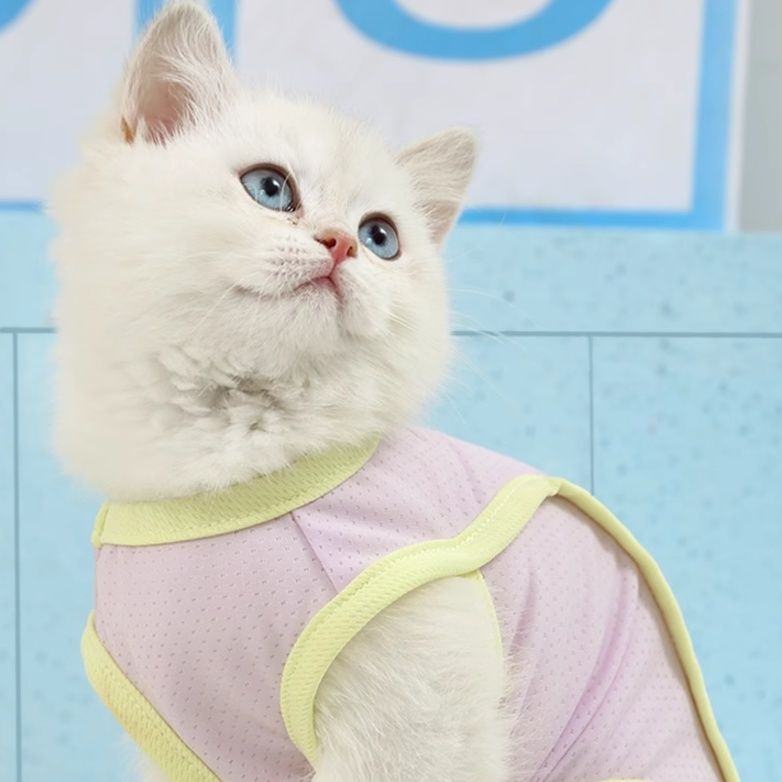 猫服 ふんわり優しいメッシュタンクトップ