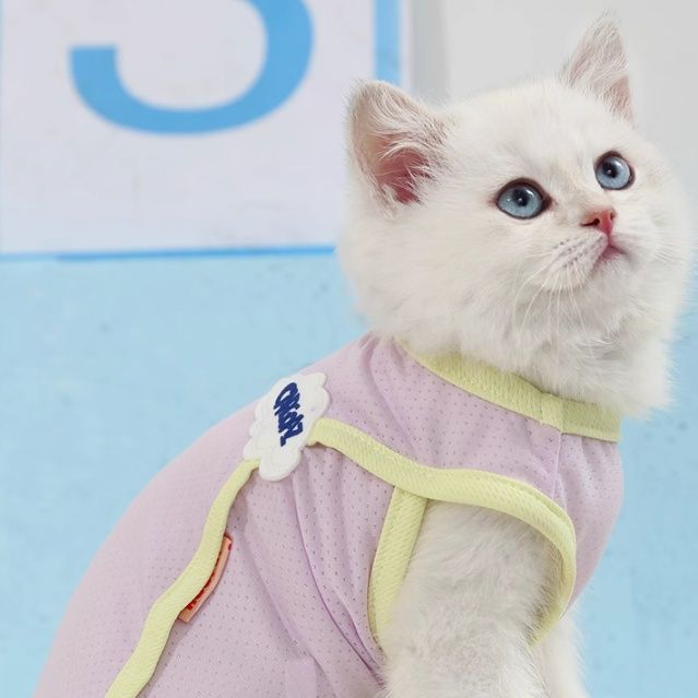 猫服 ふんわり優しいメッシュタンクトップ