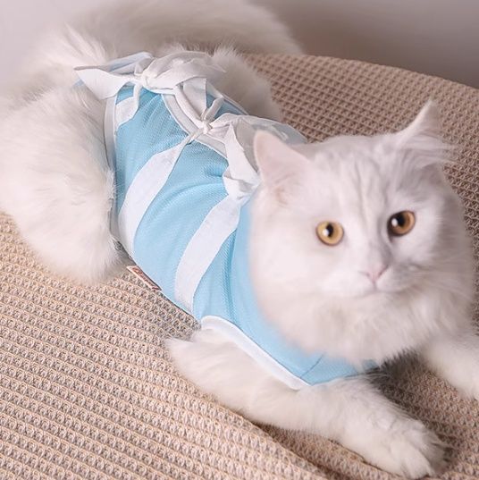 猫服 天使のリボン付きキャミソール