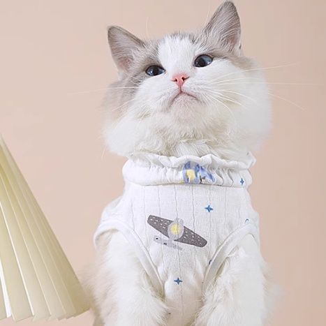 猫服 天使のリボン付きキャミソール