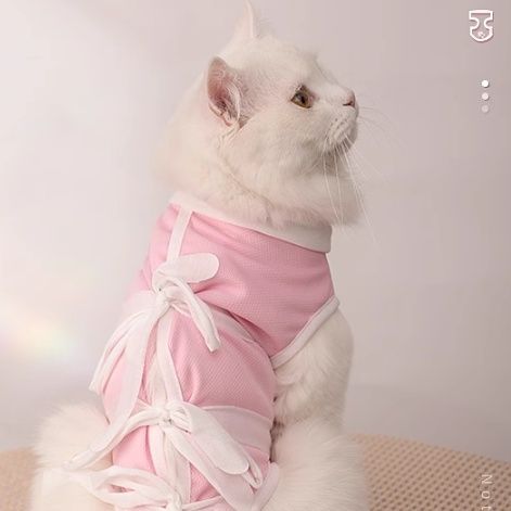 猫服 天使のリボン付きキャミソール