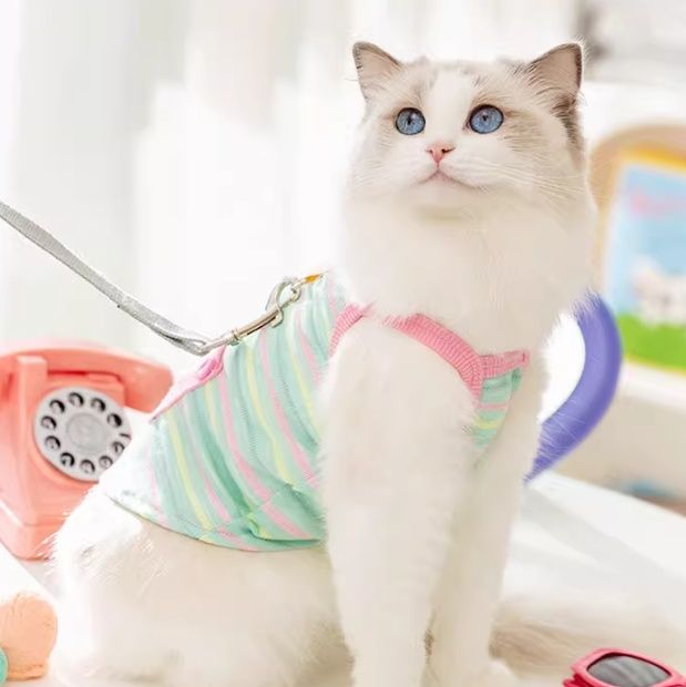 猫服 パステルボーダーポケット付きハーネス