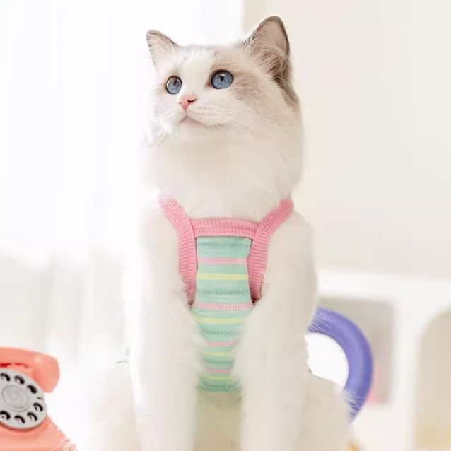 猫服 パステルボーダーポケット付きハーネス