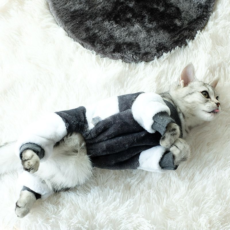 https://fulmo-img-server.com/nekohapi/1751696821715_6qzyymq6_cerbyh2e.jpg