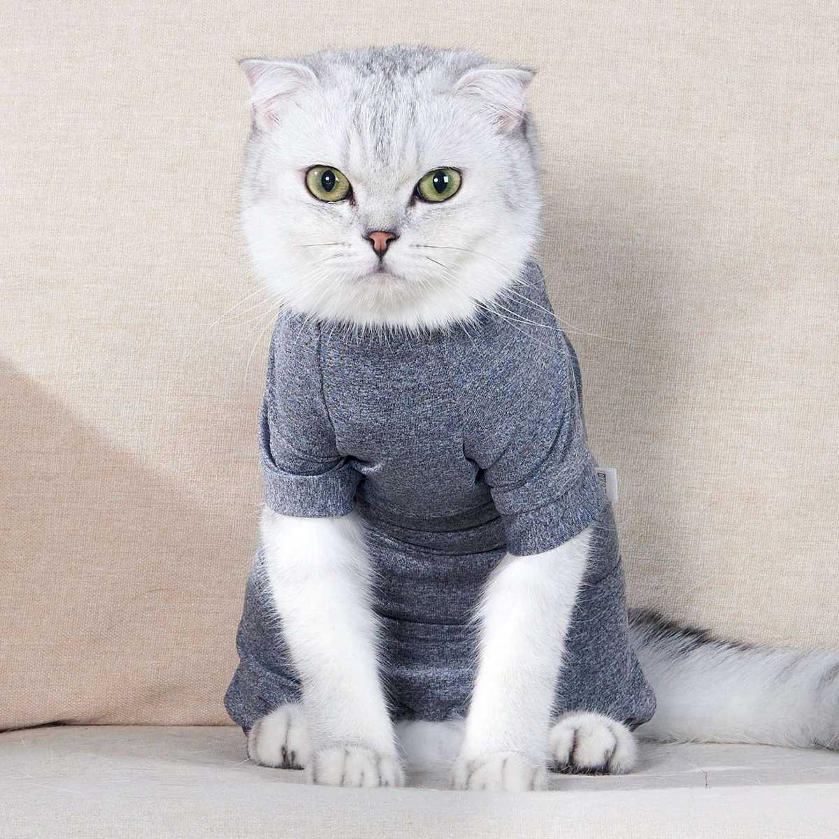 術後のケアに！猫用術後服おすすめ人気ランキング5選【2025年】