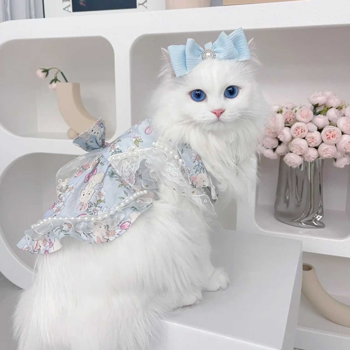 嫌がらずスムーズに！猫服着せ方のコツとおすすめ商品5選