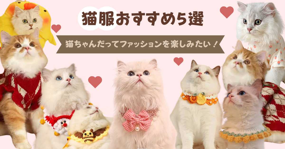 【2025年2月】注目アイテム！猫服おすすめ14選人気比較ランキング