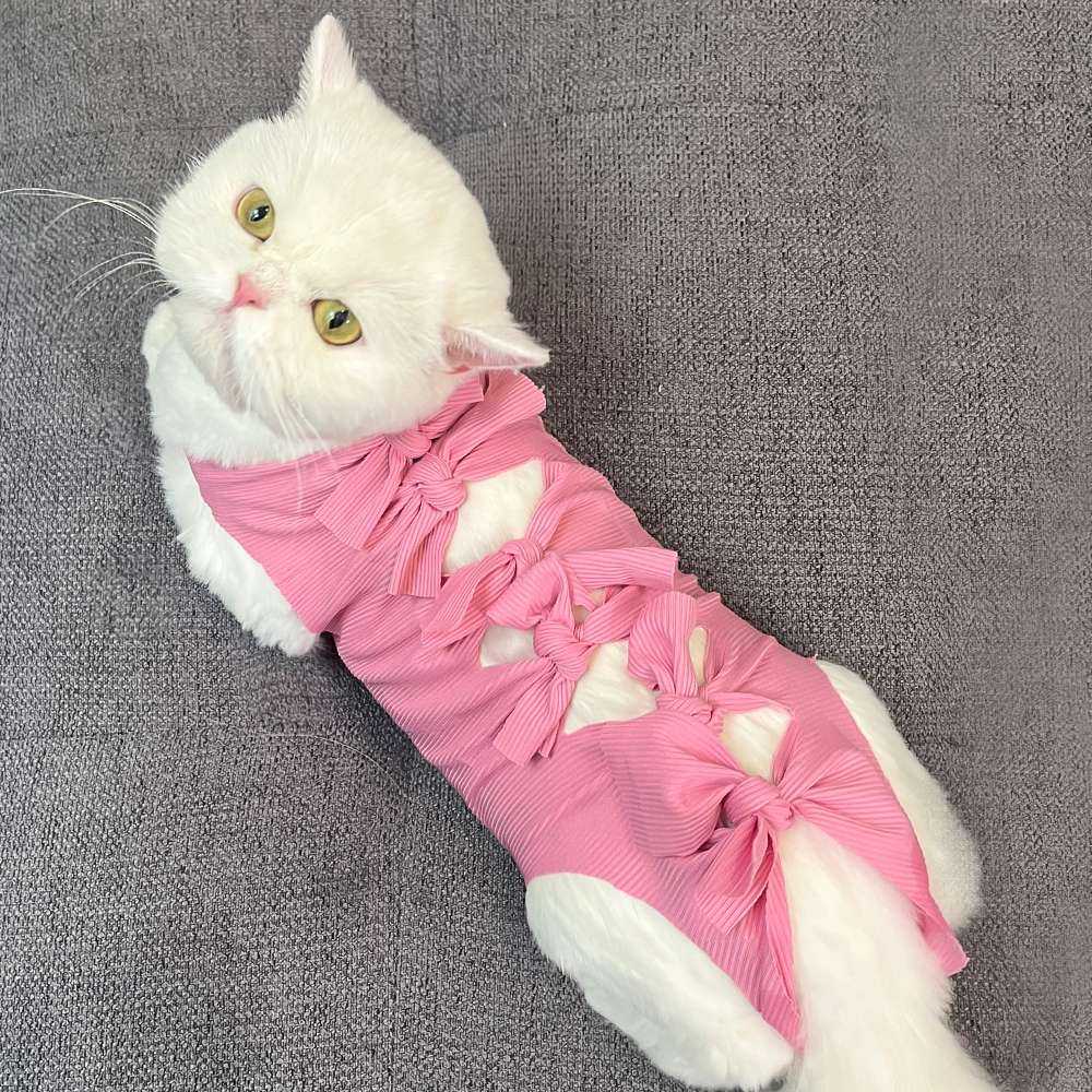 術後の猫ちゃんにおすすめ！猫服【5選】