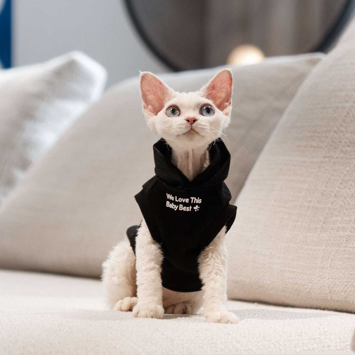黒でスタイリッシュに！猫の黒系洋服おすすめ5選【2025年】